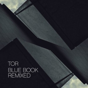 ดาวน์โหลดและฟังเพลง Intro (Edamame Remix) พร้อมเนื้อเพลงจาก Tor
