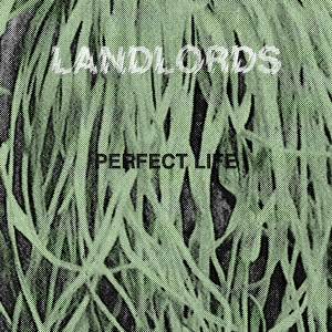 Album Perfect Life from Landlords