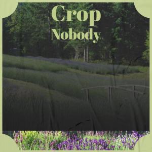 Various的专辑Crop Nobody