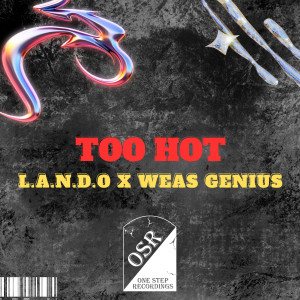 Album Too Hot (Explicit) from 
