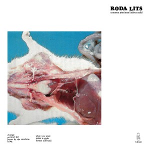 收聽Roda Lits的Normal Guy歌詞歌曲