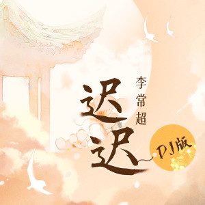 Album 迟迟 (DJ名龙版) from DJ名龙