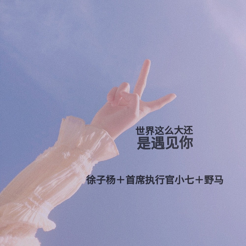一眉道人 (DJ版)