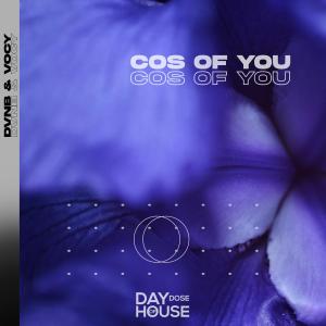 ดาวน์โหลดและฟังเพลง Cos Of You พร้อมเนื้อเพลงจาก DVNB