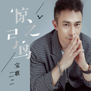 Album 惊弓之鸟 oleh 宝歌