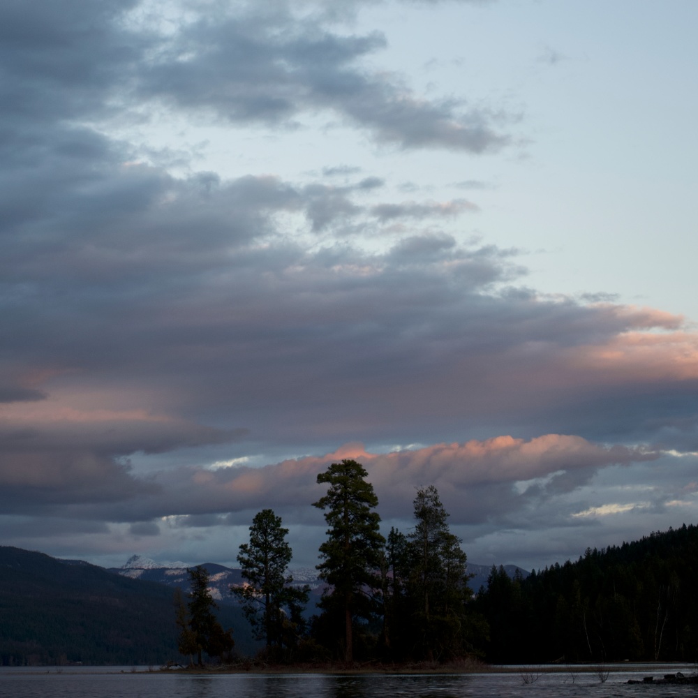 Old Trees Watching (Sped Up)
