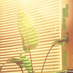 Listen to Next Day Blinds (Explicit) song with lyrics from Avery Profit