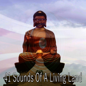Listen to Mentally Healing song with lyrics from Meditation Spa