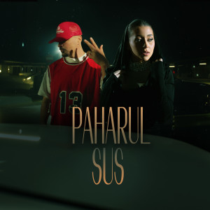 Album Paharul sus from Puya
