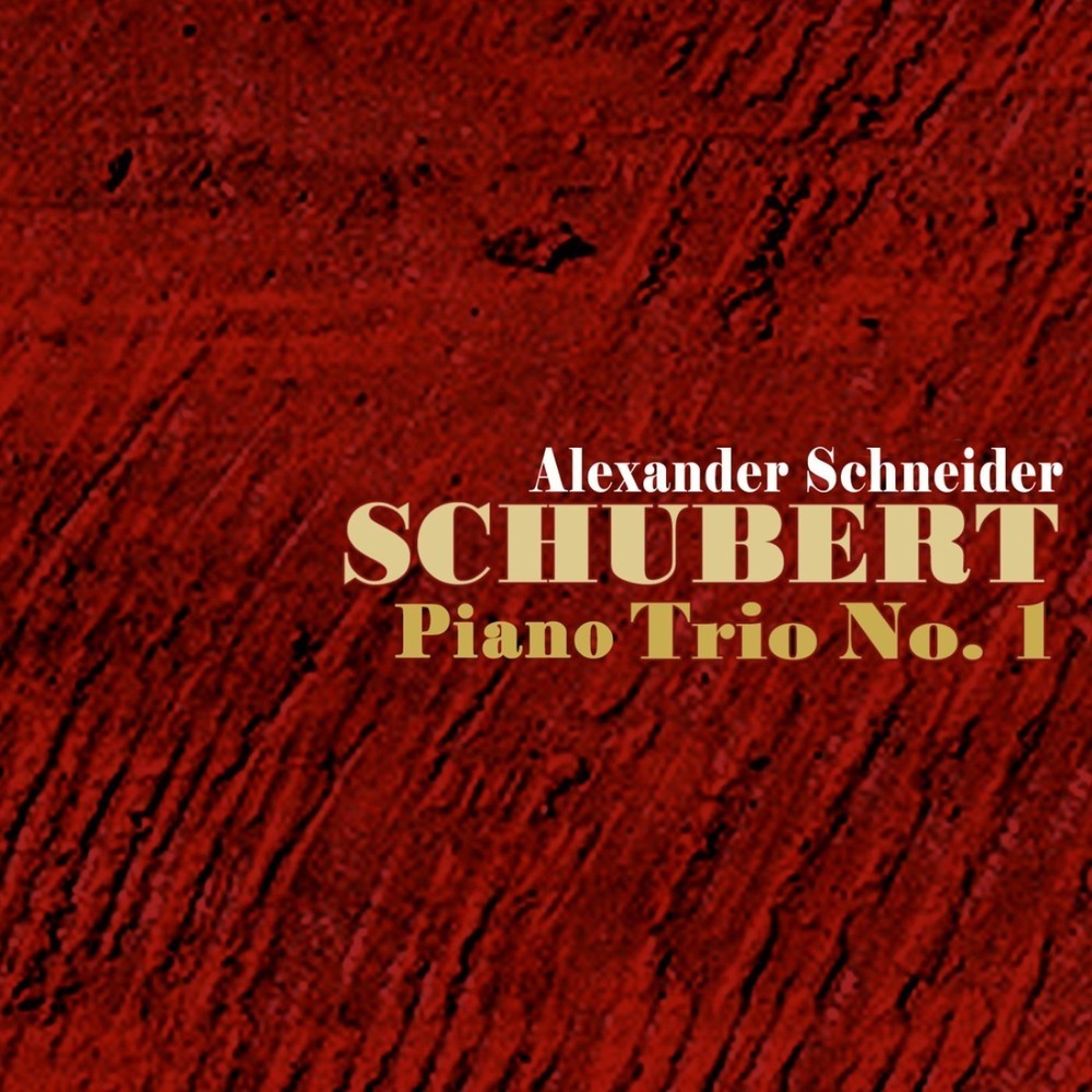 Trio No. 1 in B Flat, Op. 99: II. Andante un poco mosso