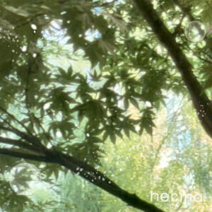 อัลบัม 여름의 끝자락 (the end of summer) ศิลปิน Herina