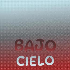 Album Bajo Cielo oleh Various