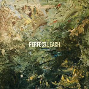 收聽Leach的Perfect歌詞歌曲