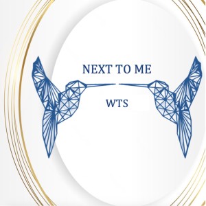 Dengarkan Next to Me (R&B Remix) lagu dari WTS dengan lirik