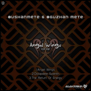 收聽Oushanmete的Angels Wings歌詞歌曲