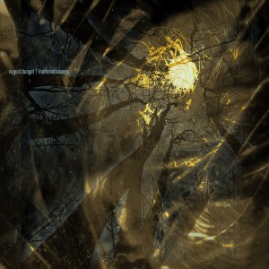 Listen to Cint de Sursur song with lyrics from Negura Bunget