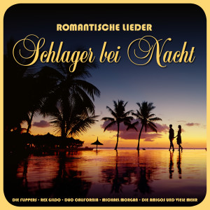 ดาวน์โหลดและฟังเพลง In der Hitze der Nacht พร้อมเนื้อเพลงจาก Hill
