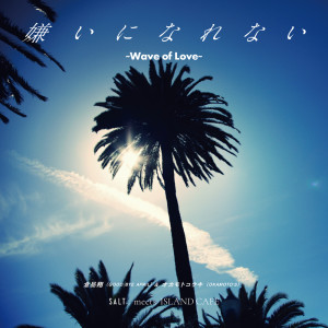 Listen to 嫌いになれない ～Wave of Love～ song with lyrics from 仓品翔