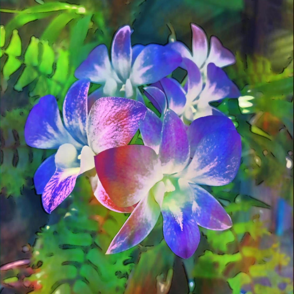 Hope Of The Blue Life