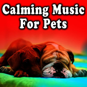 ดาวน์โหลดและฟังเพลง Music Mix for Mutts พร้อมเนื้อเพลงจาก Robin Chill