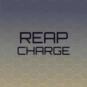 Various的专辑Reap Charge