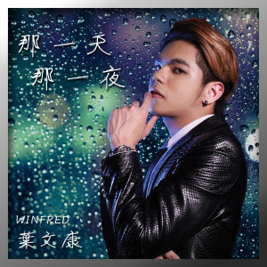 Listen to 那一天那一夜 song with lyrics from 叶文康