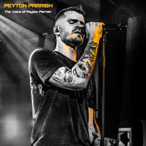 收聽Peyton Parrish的Into The Unknown (Acapella Version)歌詞歌曲