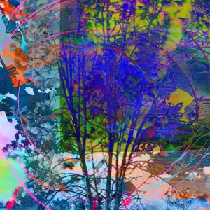 收聽Richard Houghten的Weeping Willow歌詞歌曲