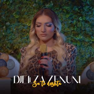 Listen to Sa te deshta song with lyrics from Djellza Zenuni