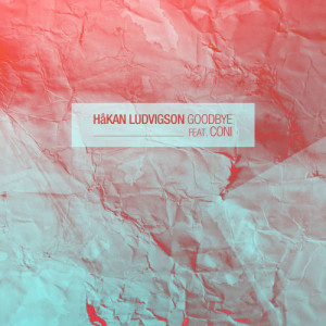 ดาวน์โหลดและฟังเพลง Goodbye (Dudu Nahas After Hour Remix) พร้อมเนื้อเพลงจาก Håkan Ludvigson