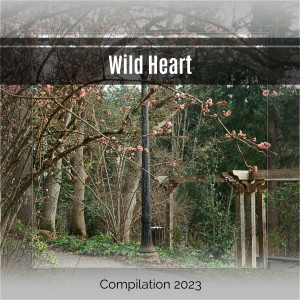 Various Artists的專輯Wild Heart