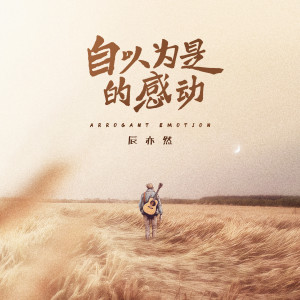 Listen to 自以为是的感动 (伴奏) song with lyrics from 辰亦然