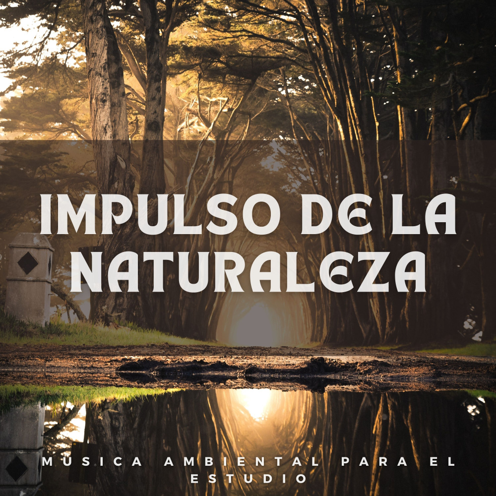 Ensoñación Del Grillo Al Crepúsculo
