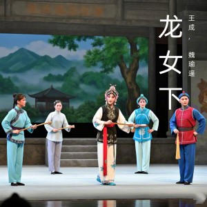 王成的专辑龙女下 (黄梅戏)