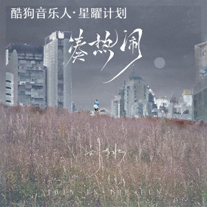 Album 凑热闹 oleh 刘大壮