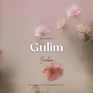 Album Gulim from Zineken