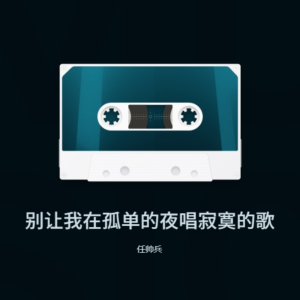 Album 别让我在孤单的夜唱寂寞的歌 from 