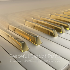 Peaceful Beat of Piano: Thunder Soothing Sleep Melody dari Hotel Lobby Jazz Group