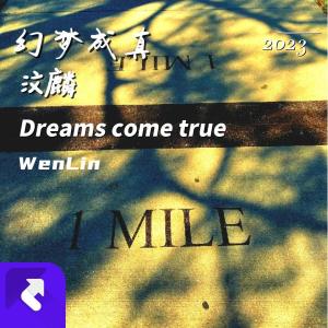 Listen to 苏醒曲 song with lyrics from 汶麟