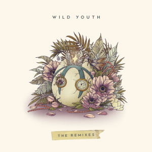 Wild Youth (The Remixes)