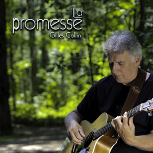 Listen to Mi mancherai song with lyrics from Gilles Collin