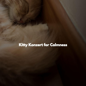 Kitty Konzert for Calmness