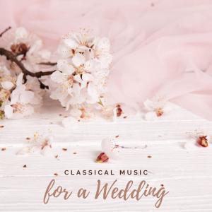 Dengarkan lagu Unchained Melody (Arr. for Guitar) nyanyian James Shanon dengan lirik