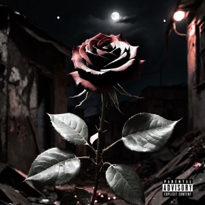 Album Bloom in the city from FITT