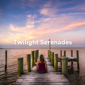 Album Twilight Serenades oleh Meditation Songs