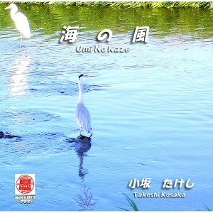 ดาวน์โหลดและฟังเพลง Hotaru พร้อมเนื้อเพลงจาก Takeshi Kosaka