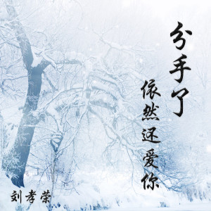Listen to 为什么你要让我流泪（旋律版） (伴奏) song with lyrics from 刘孝荣