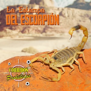 ดาวน์โหลดและฟังเพลง La Gran Noche พร้อมเนื้อเพลงจาก Los Renegados