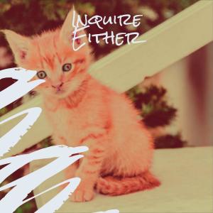 Album Inquire Either oleh Various