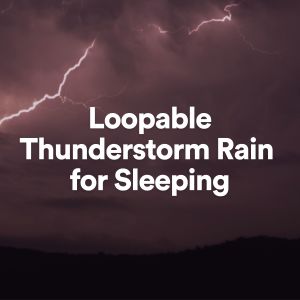 Dengarkan lagu Some Thunderstorm Sounds nyanyian Thunderstorm dengan lirik